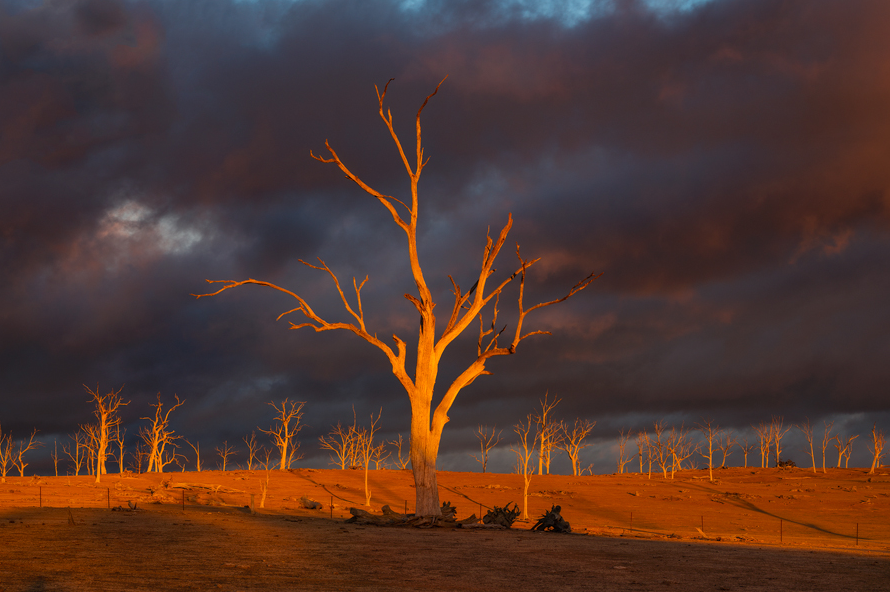 Win this Ben Messina print in the Give Me 5 art with heart raffle.