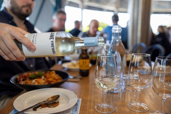 Food and Wine lunch The Lane Vineyard